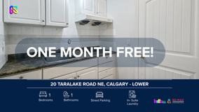 20 Taralake Road NE, Calgary - Photo 1 of 1
