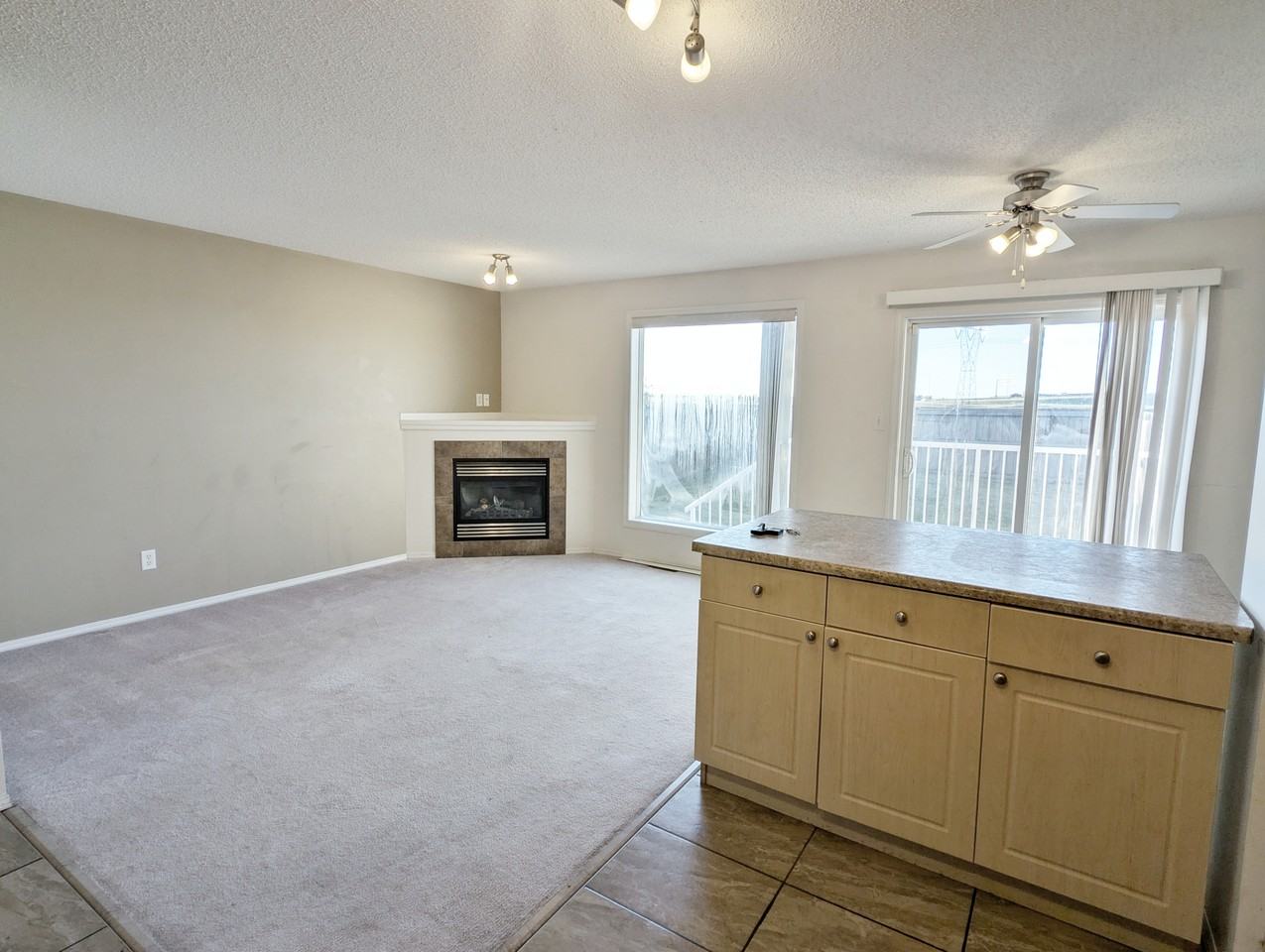 9045 Scott Crescent - Photo 5 of 18