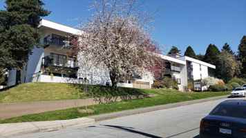 featured image of 1033 Fourth Ave