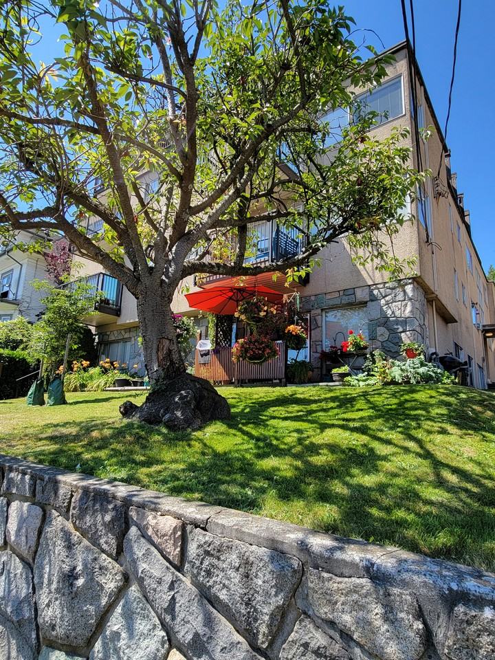 Carnarvon Apartments - Photo 3 of 25