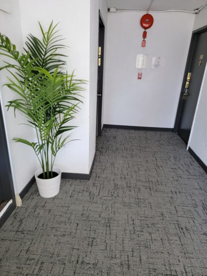 Carnarvon Apartments - Photo 6 of 25