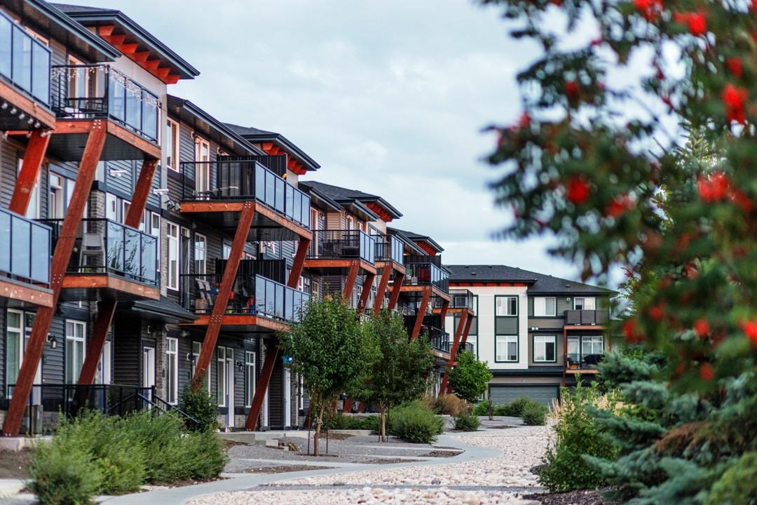 Essential Aurora Townhomes - Photo 3 of 14