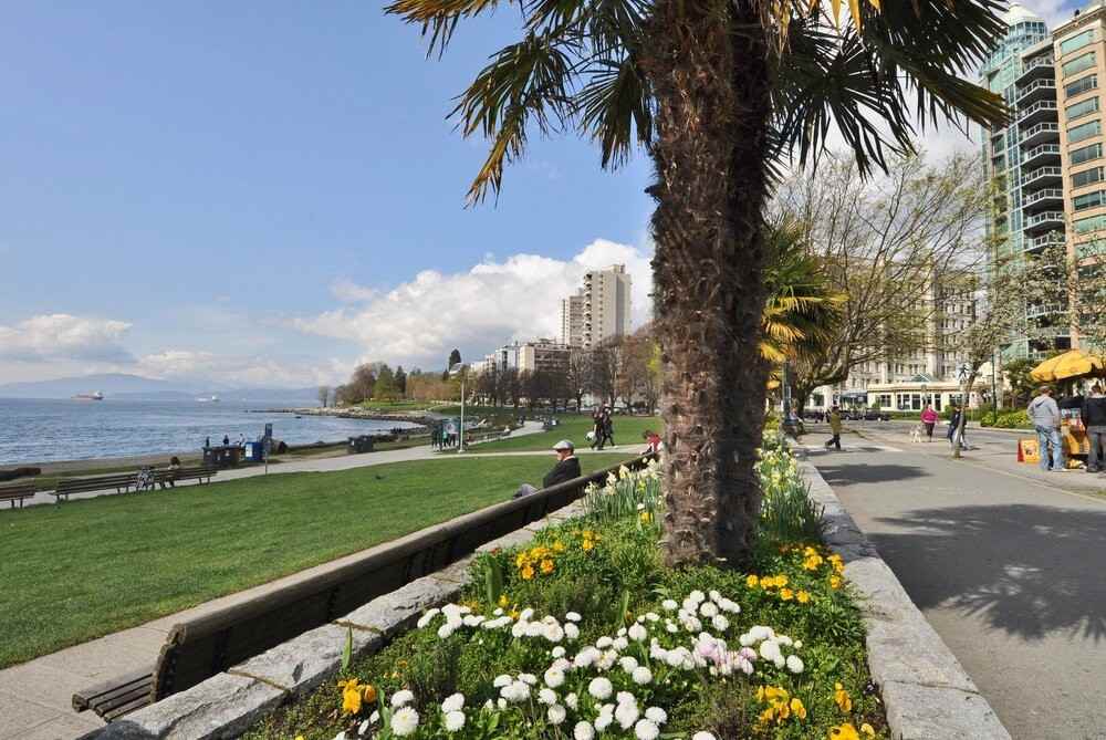 Beach Towers - Photo 4 of 50