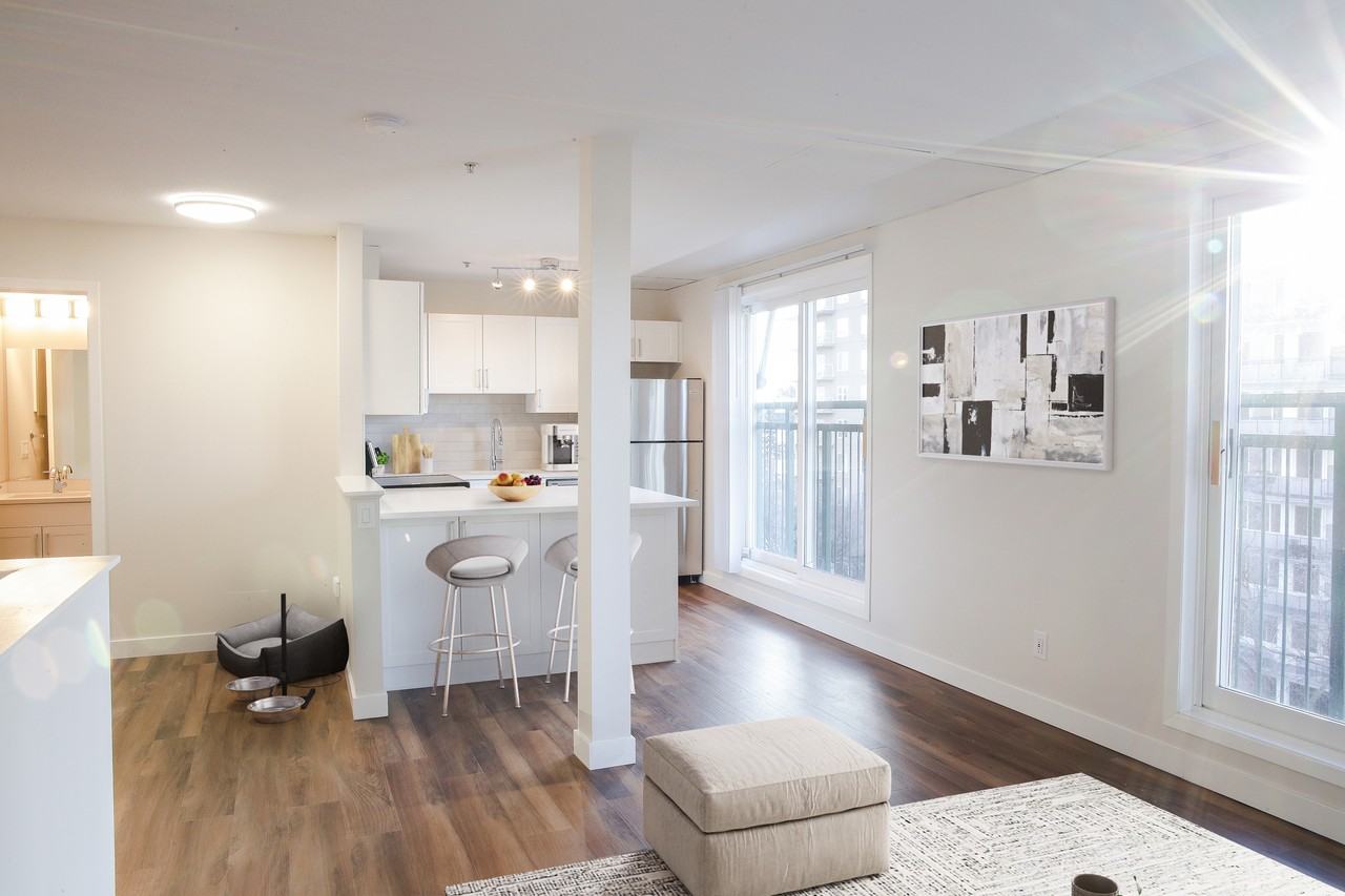 Windsor Park Lofts - Photo 5 of 50