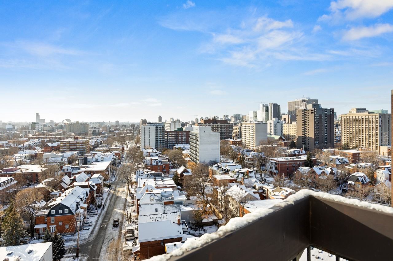 The Lamplighter - Photo 7 of 8