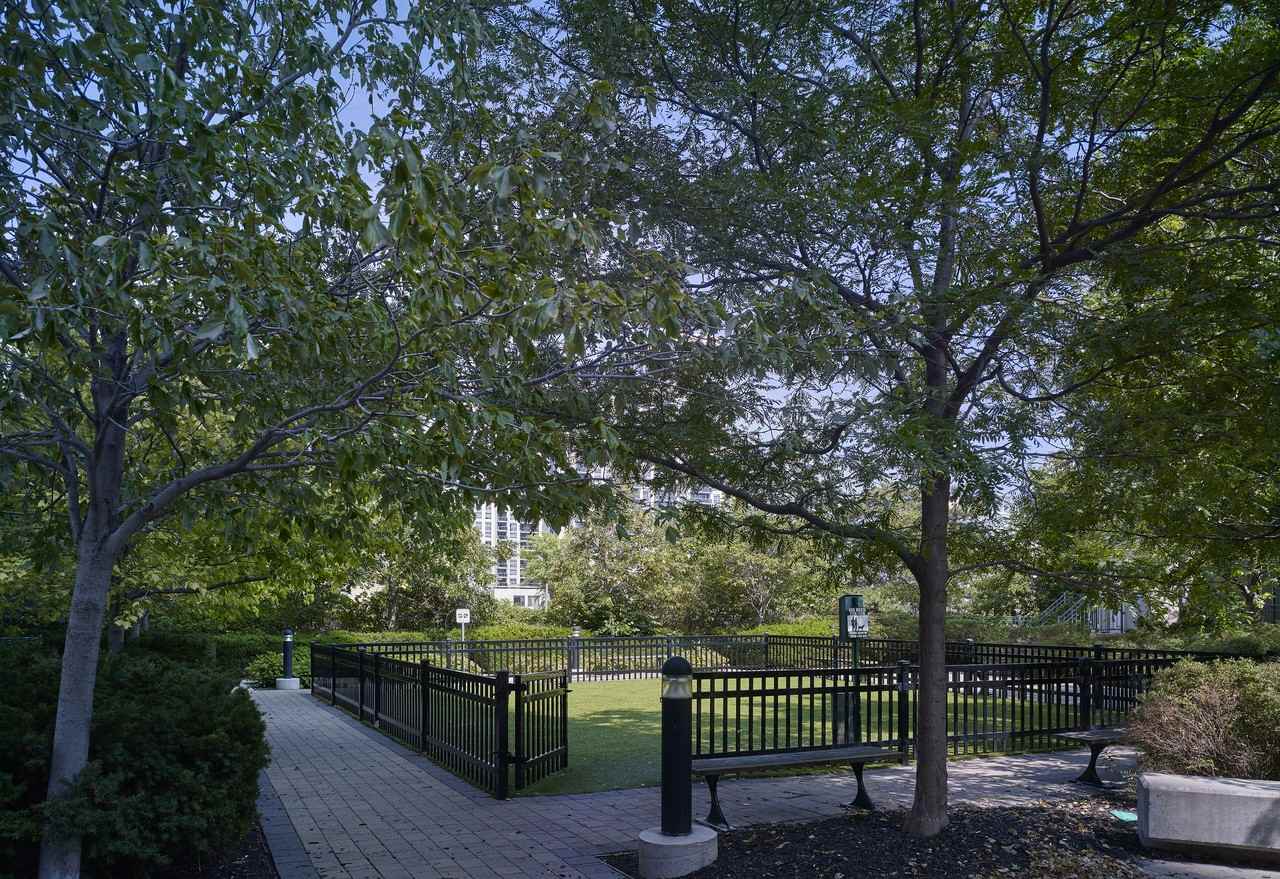 Palomar at Village Gate West - Photo 7 of 19