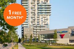 55One - Photo 1 of 1