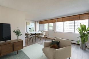 Joie De Vivre - Photo 1 of 1