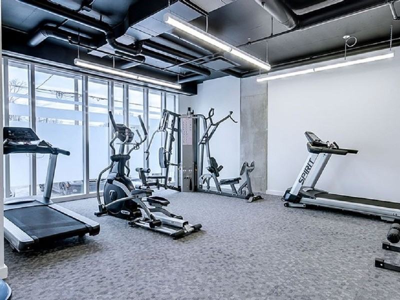 Le Vibe - Photo 4 of 13