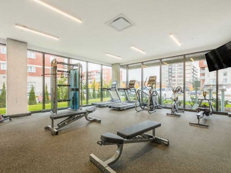 Solaris - Photo 7 of 9