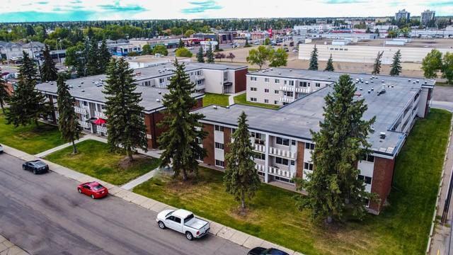 Terra Vista Gardens - Photo 3 of 50