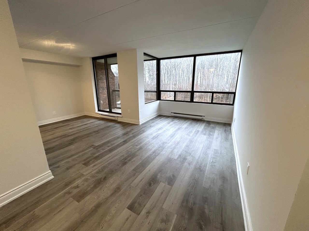 Heather Forest - Photo 7 of 38