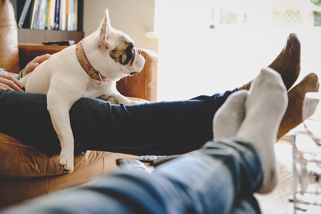 Rockhill Apartments - Photo 7 of 50