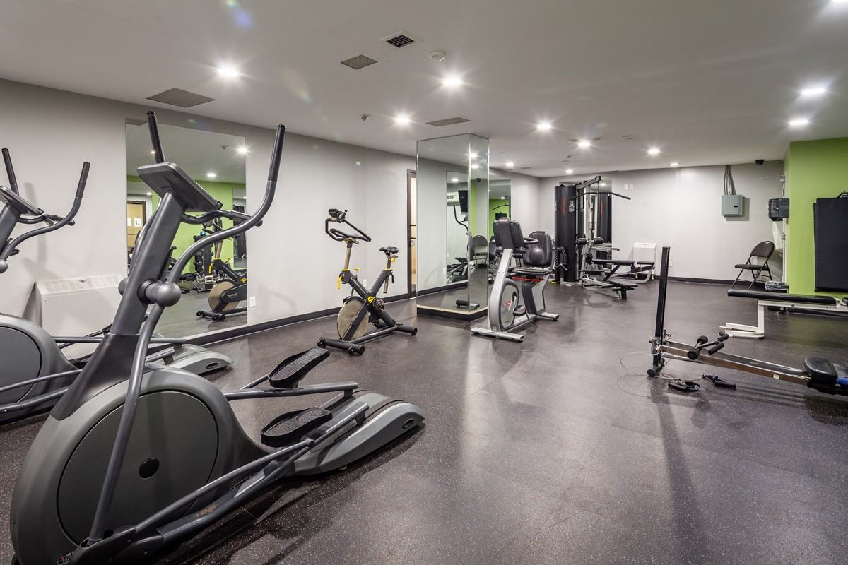 The Macdonald - Photo 6 of 50