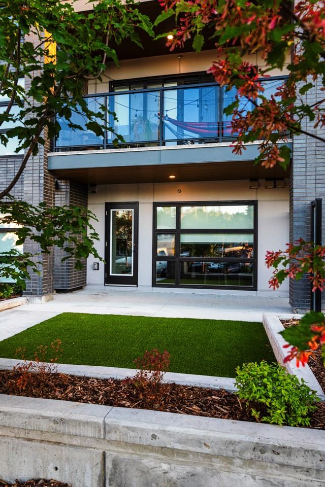 The Muse Off Whyte - Photo 4 of 19