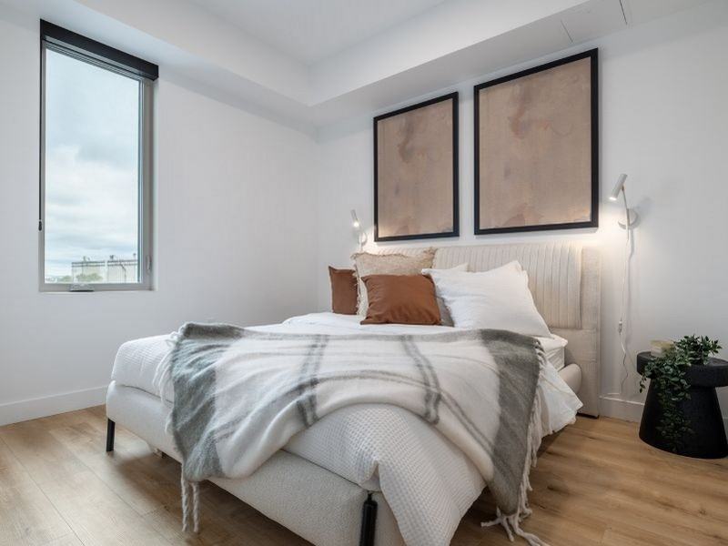 Haleco - Photo 4 of 12