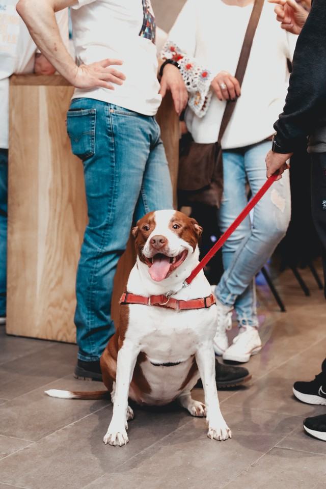 BRiX MTL - Photo 6 of 50