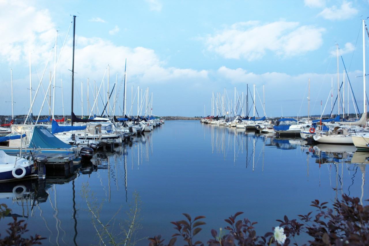 2300 Marine Drive Apartments - Photo 4 of 49