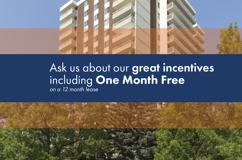 The Mayflower - Photo 1 of 1