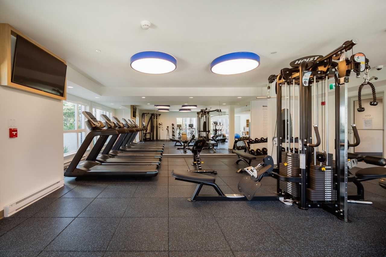 Foster - Photo 7 of 50