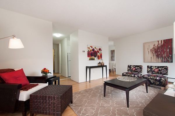 Royalee Court - Photo 6 of 13