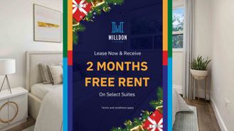 Countess - Photo 1 of 1