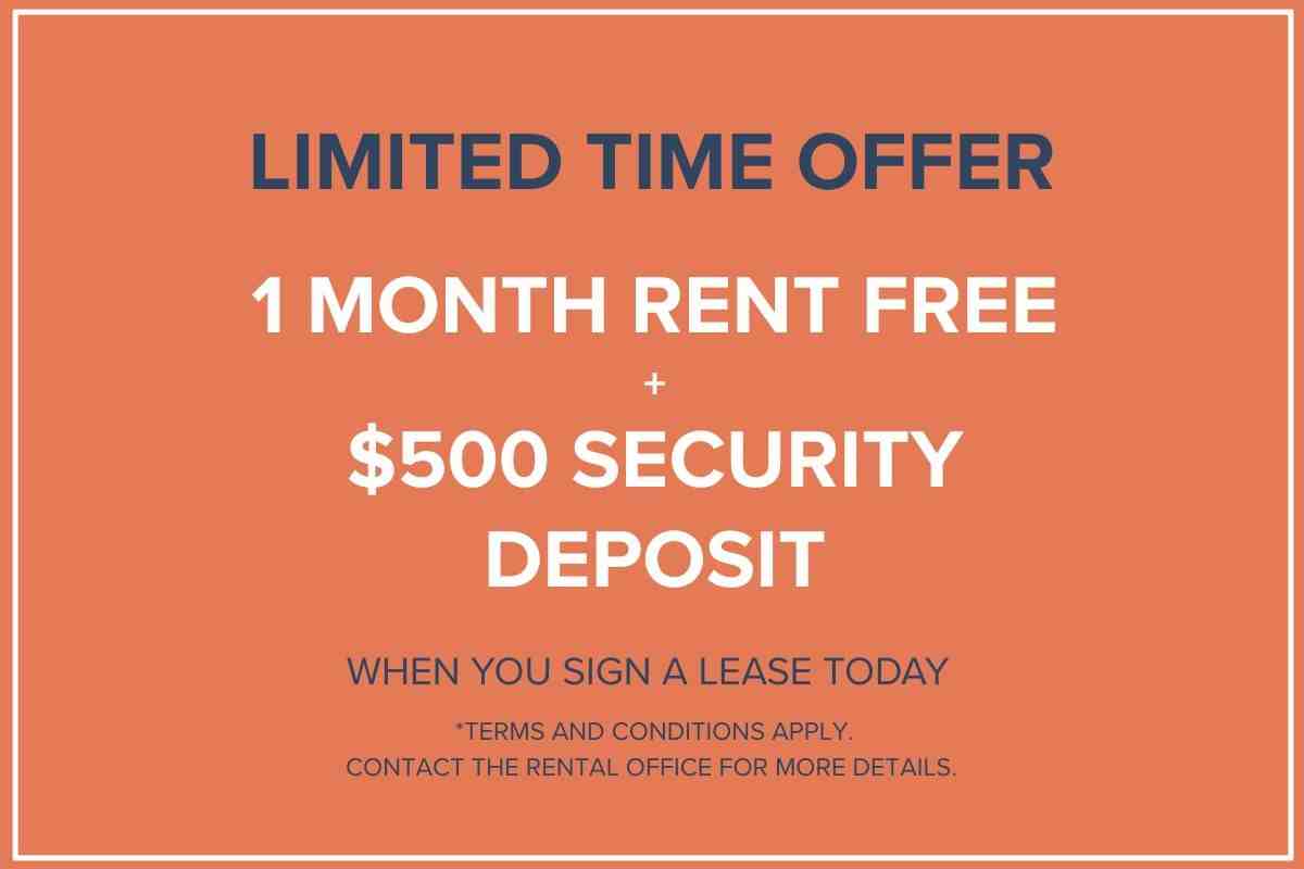 Queen Anne Apartments - Photo 2 of 50