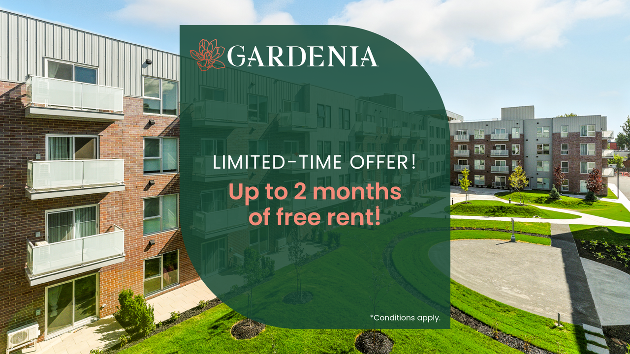 Gardenia - Photo 2 of 17