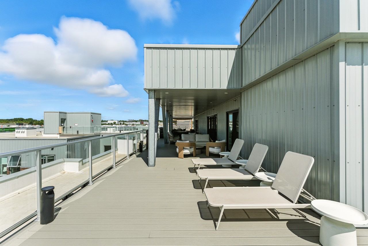 Gardenia - Photo 5 of 17