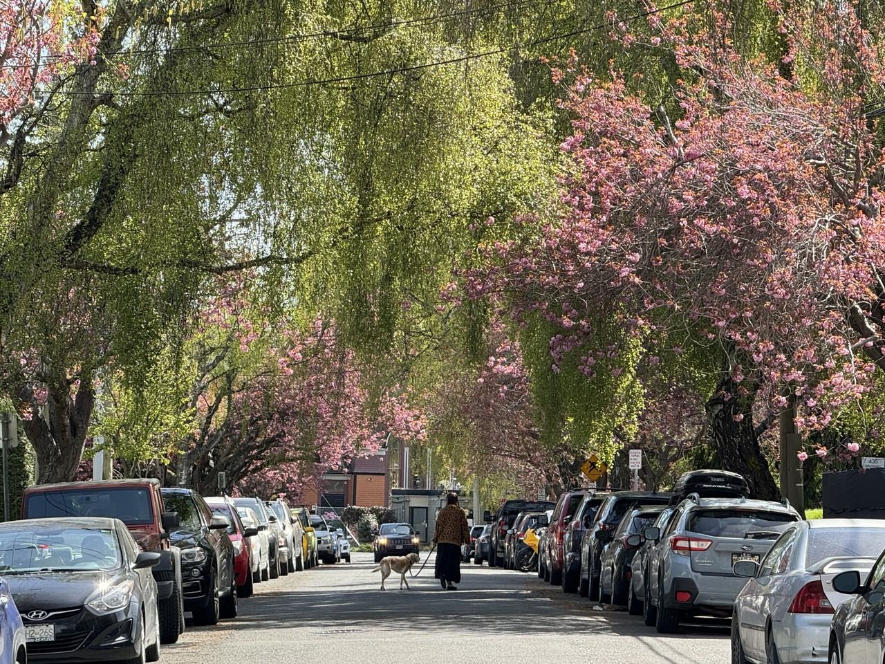 Michigan Square - Photo 3 of 36