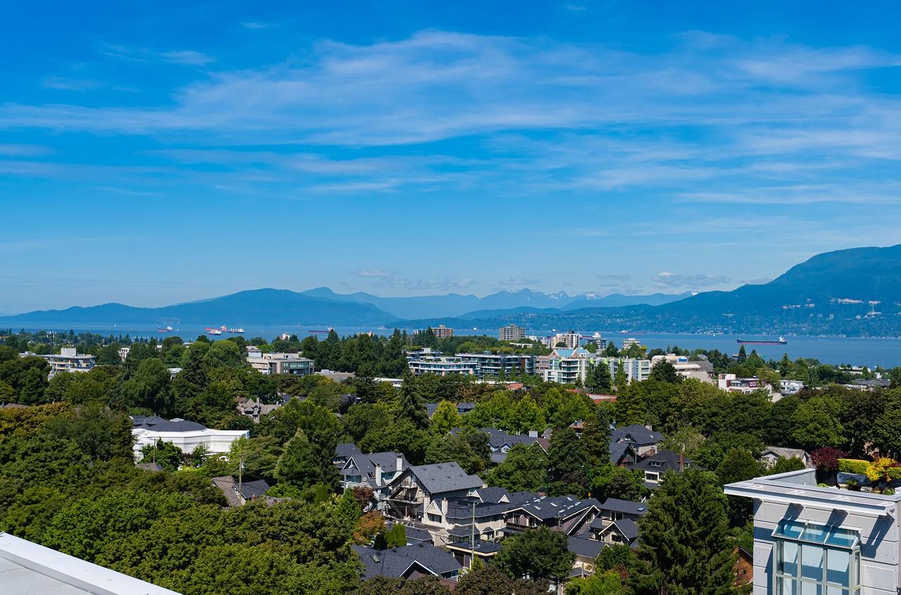 Viridian - Photo 7 of 50