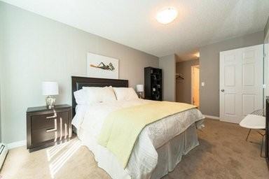 Lake Ridge Apartments - Photo 4 of 50