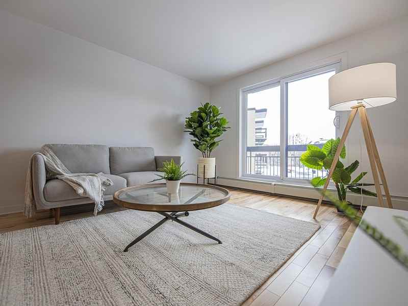 Place Riviera - Photo 4 of 11