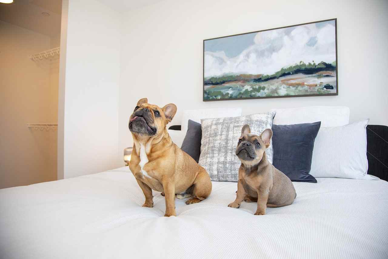 Sunalta Heights - Photo 5 of 19