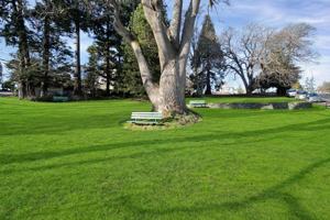 featured image of 707 Esquimalt Rd