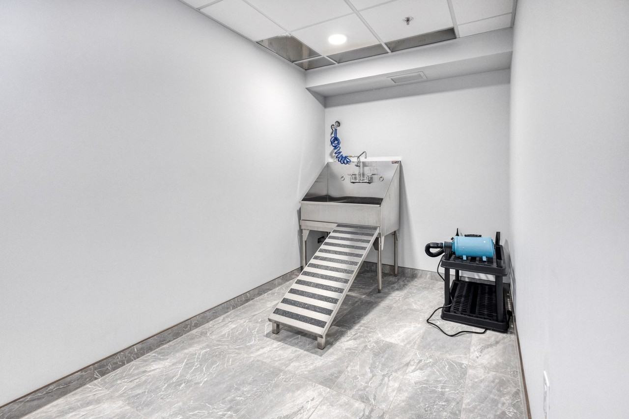 1033 Autumnwood Drive - Photo 6 of 28