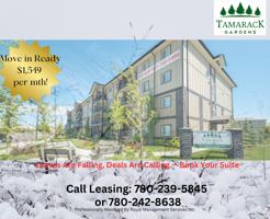 featured image of 707 Tamarack Way Nw