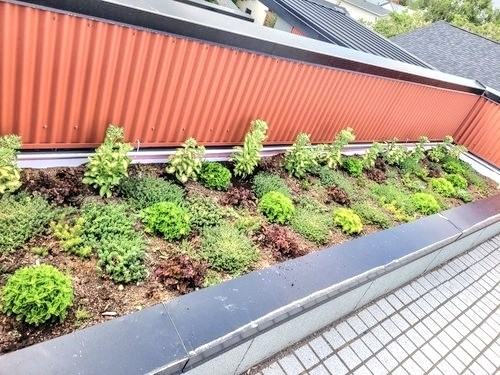 Parkhill II - Photo 6 of 15