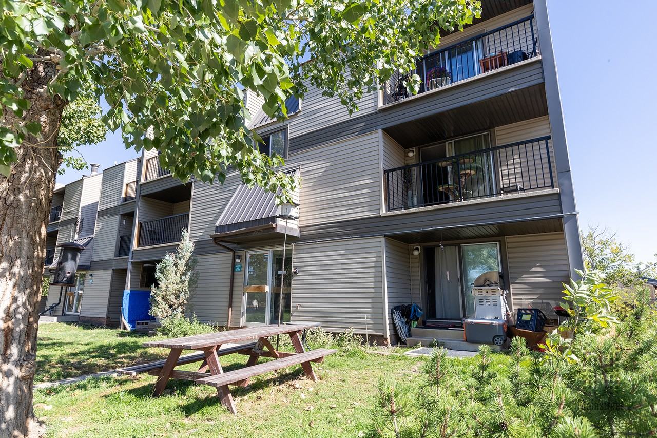 Windsor Green - Photo 7 of 22