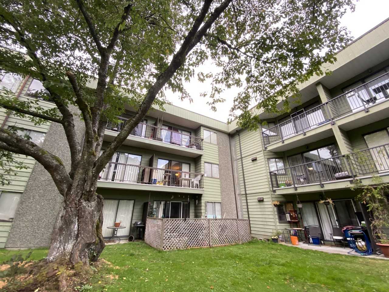 Cedartree Village - Photo 4 of 14