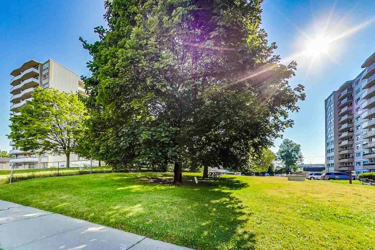 Humber River Apartments - Photo 3 of 13