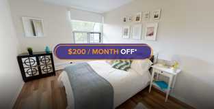 341 Flora - Photo 1 of 1