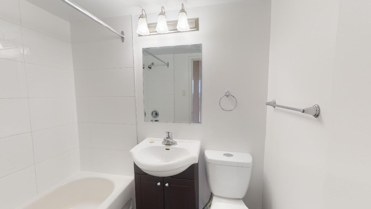 Trent & Kingsley - Photo 6 of 14