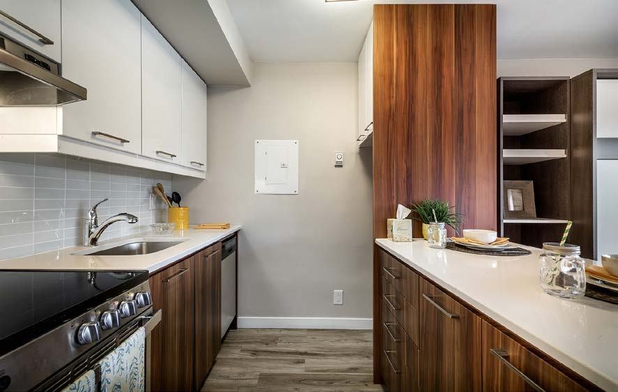 3655 Papineau - Photo 7 of 23