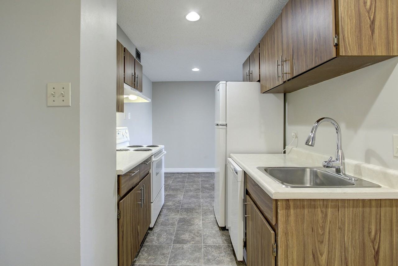 MISSION! - Photo 6 of 50