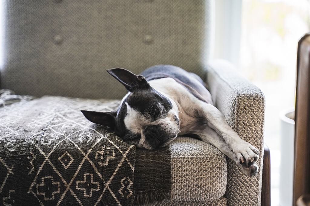 620 Martin Grove Rd - Photo 5 of 16