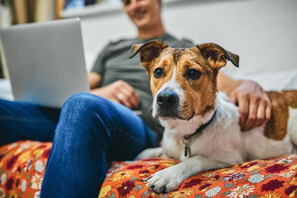 Navaho Townhomes & Garden Homes - Photo 5 of 48