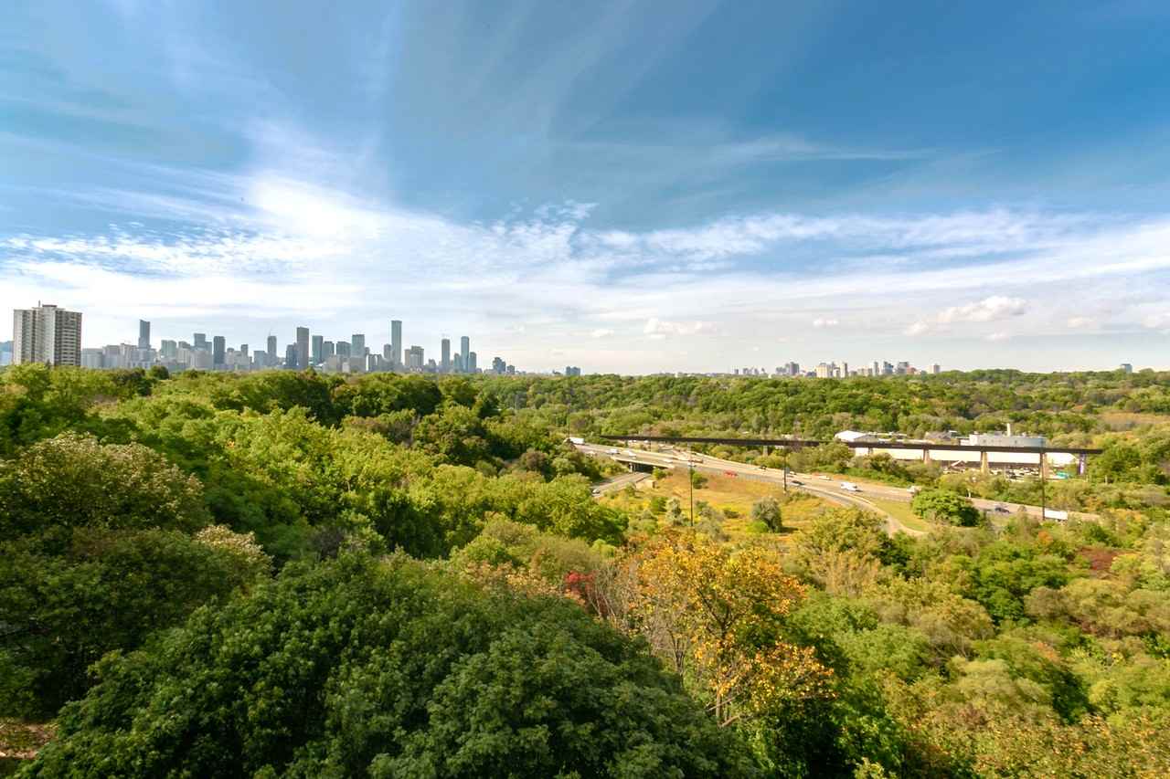 1010 Broadview Ave - Photo 7 of 50