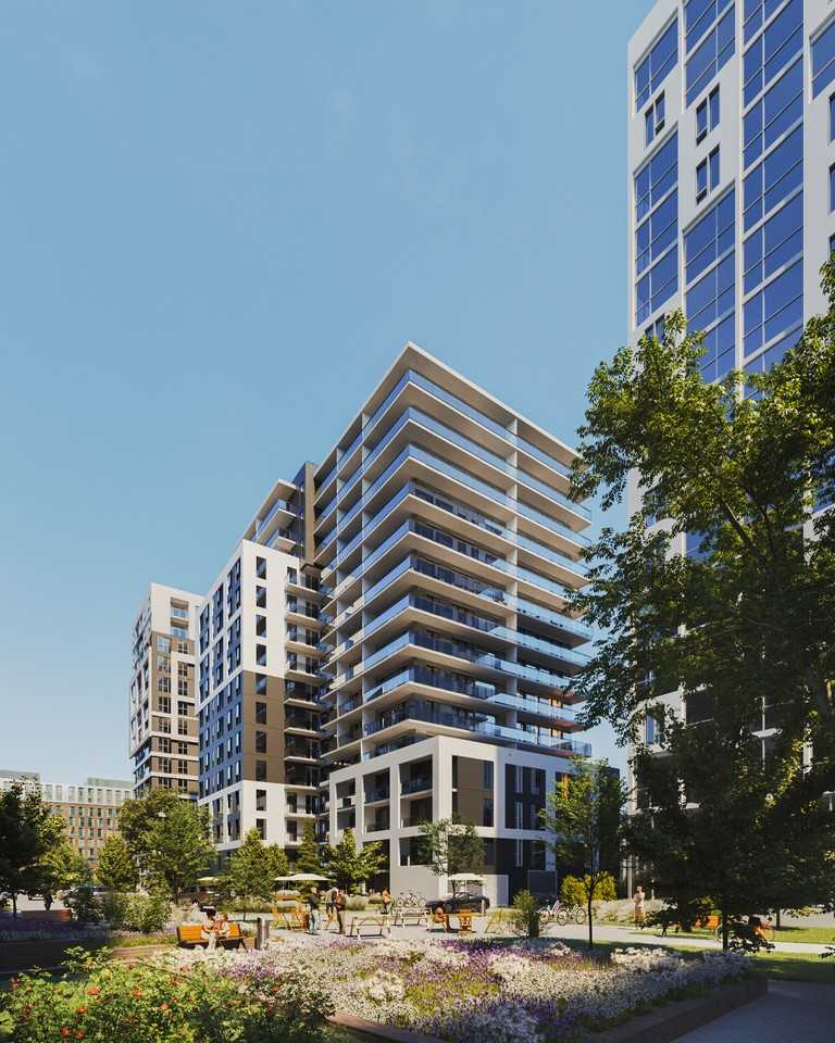 Anima - Photo 2 of 50