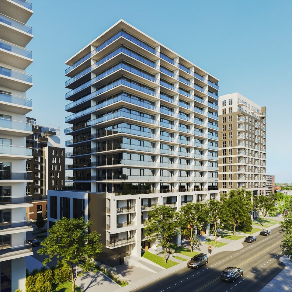 Anima - Photo 4 of 50